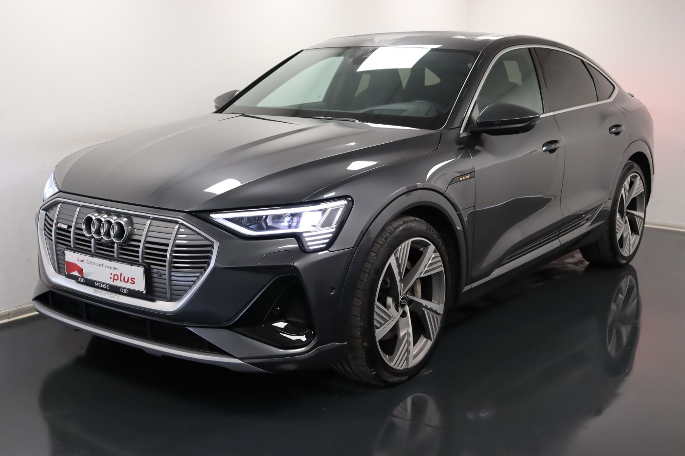 Fahrzeugabbildung Audi e-tron Sportback 55 quattro S line Luft Matrix