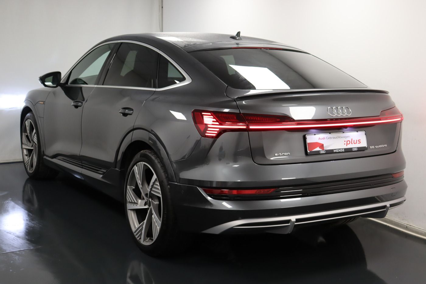 Fahrzeugabbildung Audi e-tron Sportback 55 quattro S line Luft Matrix