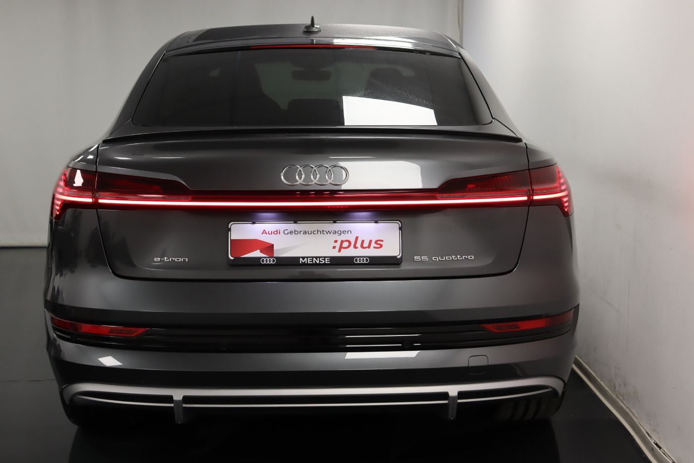 Fahrzeugabbildung Audi e-tron Sportback 55 quattro S line Luft Matrix