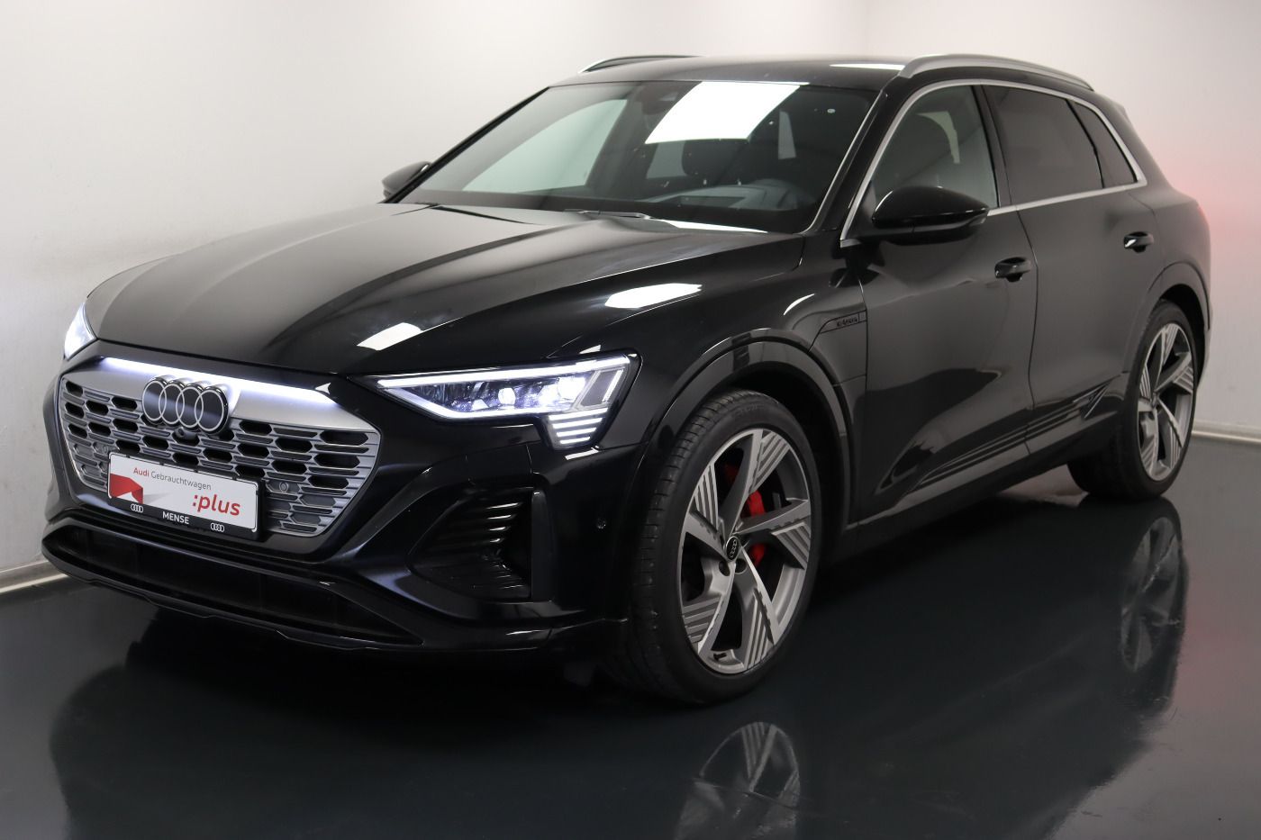 Fahrzeugabbildung Audi Q8 e-tron 55 quattro S line |AHK|Luft|Matrix|LM