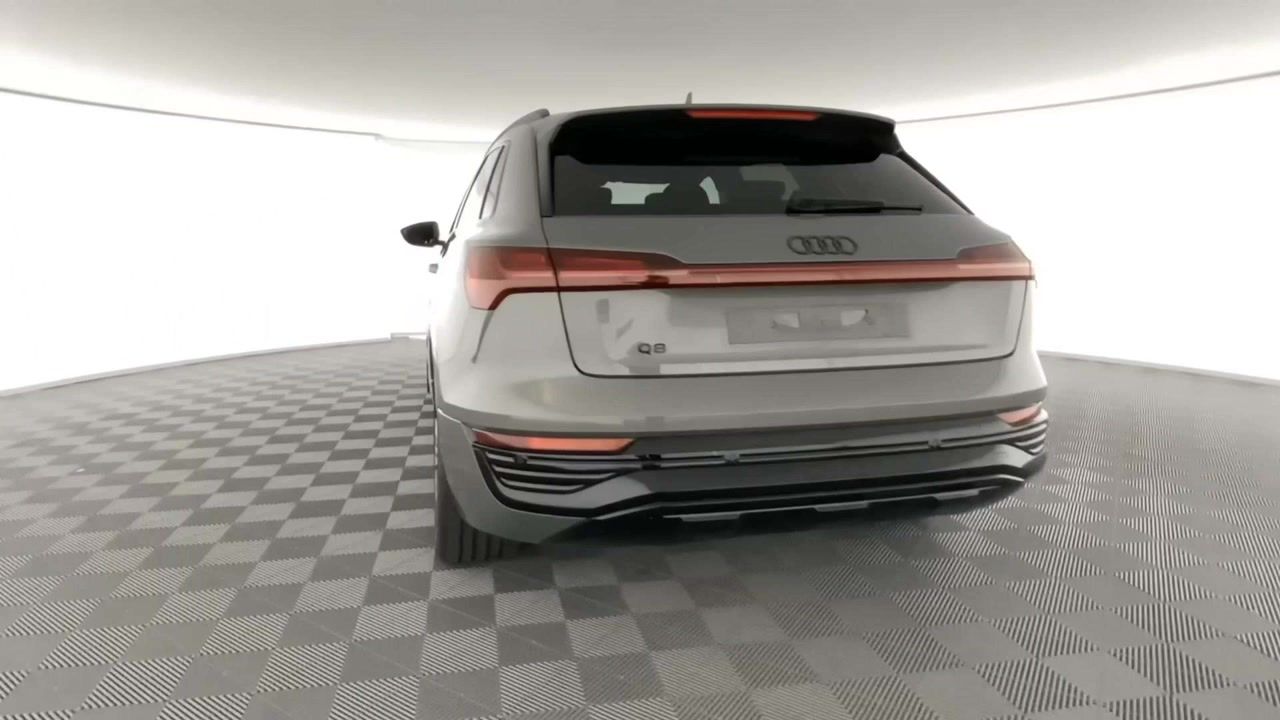 Fahrzeugabbildung Audi Q8 e-tron 55 quattro advanced |Matrix|Luft|STH