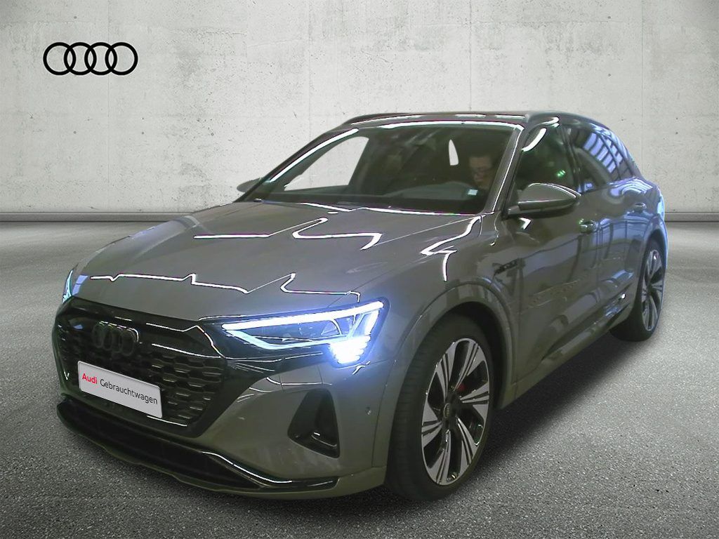 Fahrzeugabbildung Audi Q8 e-tron 55 quattro advanced |Matrix|Luft|STH