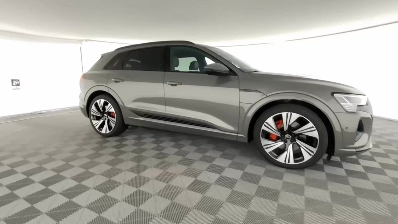 Fahrzeugabbildung Audi Q8 e-tron 55 quattro advanced |Matrix|Luft|STH